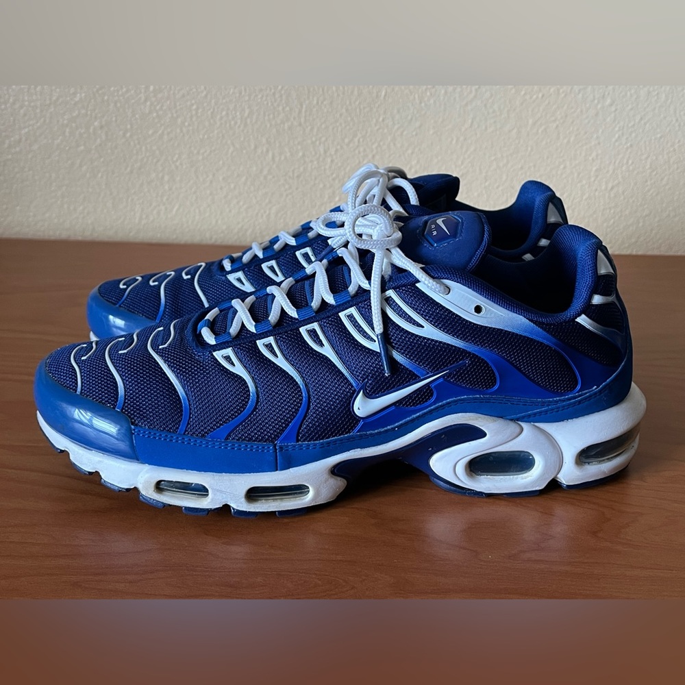 Nike Air Max Plus Tn Arctic Chill Men's Size 12